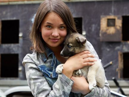 Napos túra, szánkó kutya kennel északkeleti