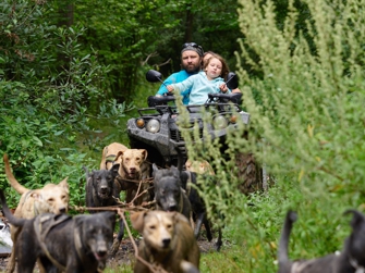 Napos túra, szánkó kutya kennel északkeleti