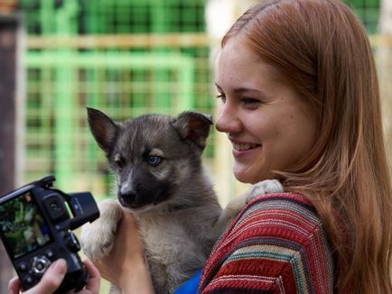 Napos túra, szánkó kutya kennel északkeleti