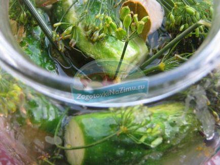 Uborka télen egy liter jar arany recepteket fotókkal - felkészülés a téli - ez lekvár, savanyúság