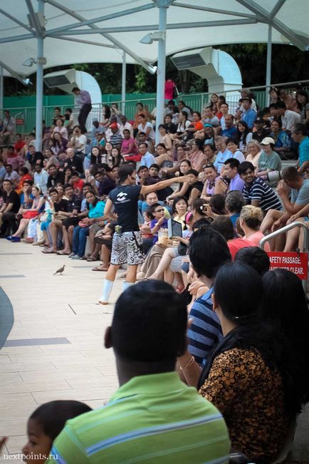 Oceanarium pe sentoza și cum să navighezi în parc