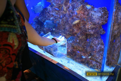 Oceanarium în Singapore