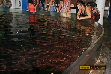 Oceanarium în Singapore