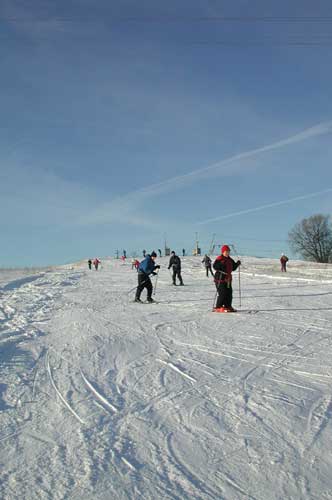 Despre problemele de instruire a instructorilor de schi montani din Rusia și despre schiurile montane