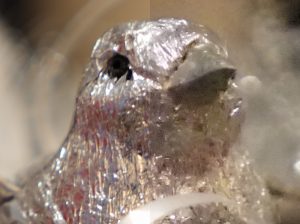 Alapjai a digitális fényképezés kontroll blende és a záridő, chip Oroszország (fotók) Alapjai a digitális fényképezés kontroll blende és a záridő, chip orosz