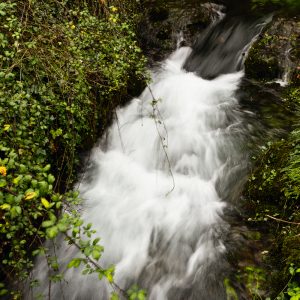 Bazele fotografiei digitale controlează diafragma și expunerea, chipul rusiei