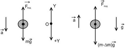 Formule și concepte de bază, forța elasticității, forța interacțiunii gravitaționale (legea lumii