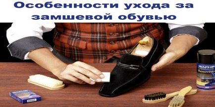 Caracteristici de îngrijire pentru pantofi de piele de căprioară în iarna și vara, sfaturi utile