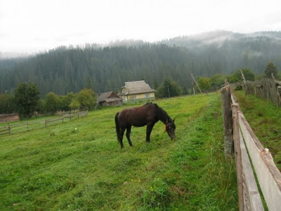 Relaxați-vă cu gustul de a vă odihni activ în Carpați