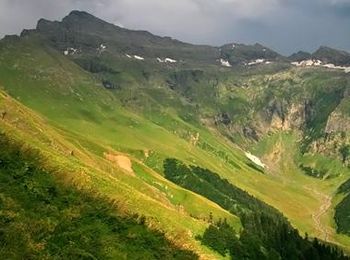 Lacul ritsa din Abhazia (fotografie) unde este, drumul spre lac, istoria unui loc unic