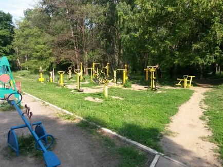 Parcul de stejari, istoria apariției