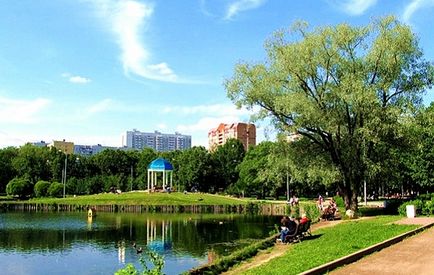 Parcul de stejari în fotografia lui Timiryazev, video, cum se ajunge