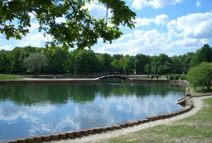 Parcul de stejari în fotografia lui Timiryazev, video, cum se ajunge