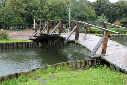 Parcul de stejari în fotografia lui Timiryazev, video, cum se ajunge