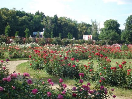 Парк софіївка в Умані, фото і опис пам'яток