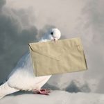 A postagalambok tenyészteni postások madarakat, a madarak meghatározni, ahol repülni a levél