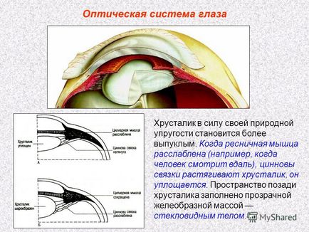 Презентація на тему додому 57 глава xii