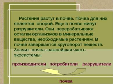 Презентація - грунт - найважливіша частина екосистеми - завантажити безкоштовно