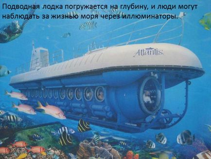 Előadás - Underwater World () Bemutatkozás - Víz alatti világ
