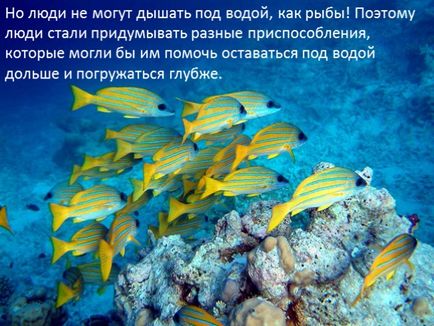 Előadás - Underwater World () Bemutatkozás - Víz alatti világ