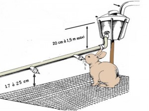 Рекомендації з виготовлення поїлки для кроликів самостійно з пластикові пляшки