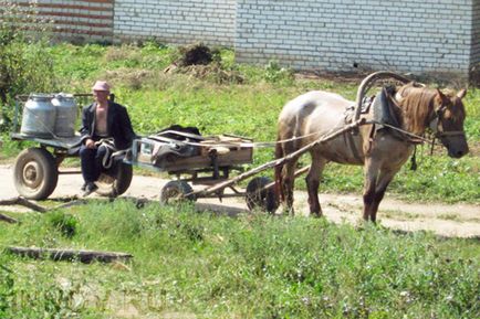 Sărăcia rurală provoacă, manifestări, consecințe (pe exemplul republicii Baskortostan)