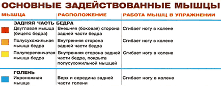 Згинання ніг сидячи - як накачати м'язи правильно і швидко - бодібілдинг