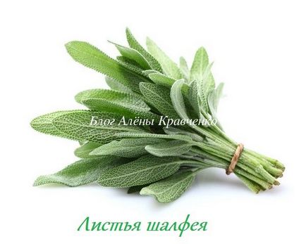 Sage de tuse (inhalare, decoct, cu lapte)