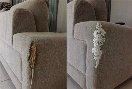 O pisică rătăcită a rupt din colțul canapelei, dar ea nu și-a pierdut capul și a făcut un miracol!