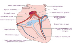 Bypass by-pass cardiac, complicații, rezultate