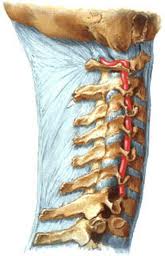 Sindromul arterei vertebrale