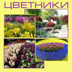 Завантажити книгу квітники