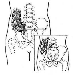 Apendicele orb și vermiform - stadopedia