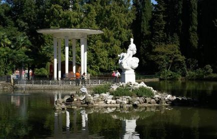 Sochi arboretum - cum se ajunge acolo, adresa, telecabină, plante, copaci, descriere, fotografie