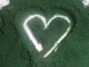 Spirulina, pe care o adaug la săpun - târgul de stăpâni - manual, manual