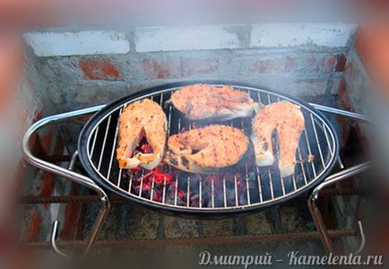 Steak din somon pe rețetă de cărbune cu fotografie, cum să gătești somon pe cărbune