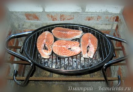 Steak din somon pe rețetă de cărbune cu fotografie, cum să gătești somon pe cărbune