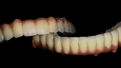 Stomatologie în Makhachkala, clinica dentară - castellini - castellini