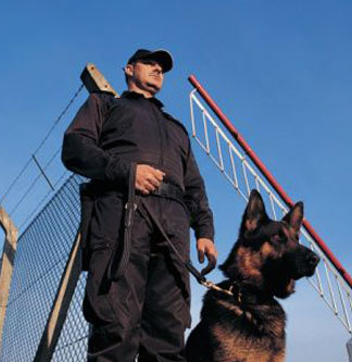 Câine de protecție (protecția obiectului)