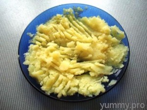 Ecetes gombaleves, körülbelül snack (fp gyarapítják Put) Leves ecetes gomba, kb édességek