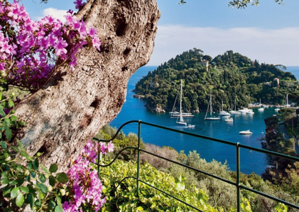 Nunta in Portofino, organizarea si desfasurarea unei nunti in Portofino