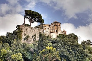 Nunta in Portofino, organizarea si desfasurarea unei nunti in Portofino