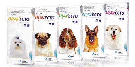 Таблетки від кліщів і бліх для собак - відгуки про ефективність