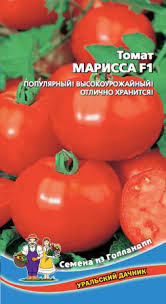 Томат Марісса f1 - інтернет-магазин відмінні насіння