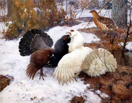 Lecția 40: fenomene sezoniere în viața păsărilor