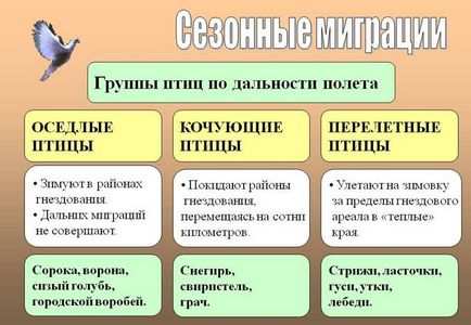 Урок 40 сезонні явища в житті птахів