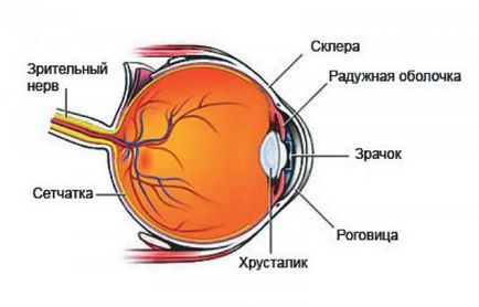 Uveita cauze, simptome, ochi fata, remedii populare, periferice,