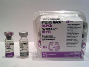 Vaccin pentru pisici Purevax împotriva rinotraheitei virale, a chlamydiilor, a infecției cu caltsivirusnoy și