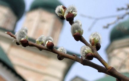 Вербна неділя історія свята - Україна