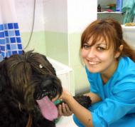 Clinica veterinară a Molly, clinica veterinară a dr. Cara Saveliy Petrovich molli